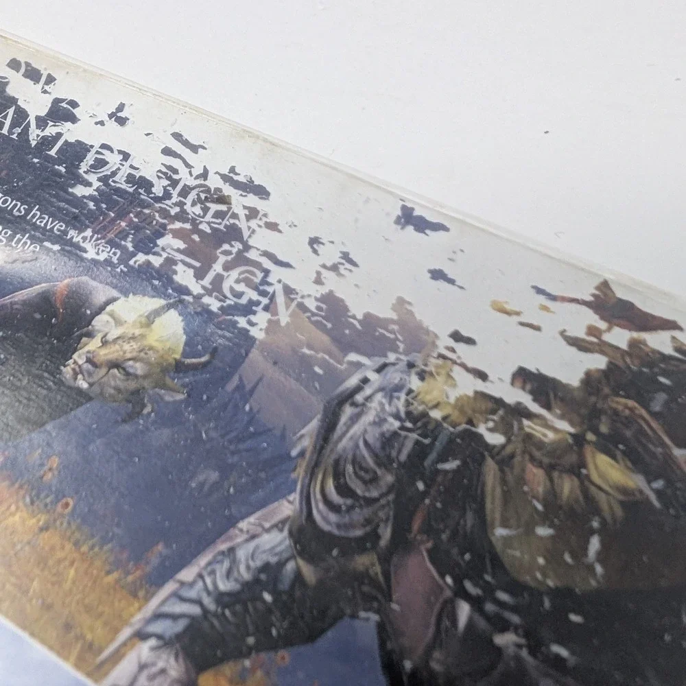 Guild Wars 2 PC Game DVD-ROM ArenaNet 2-Disc Set with Manual and Serial‎ Code
